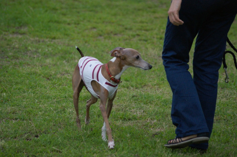 f:id:joju8:20120714181001j:image:w500