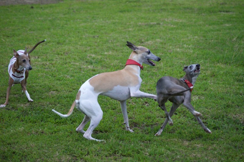 f:id:joju8:20120714183452j:image:w500