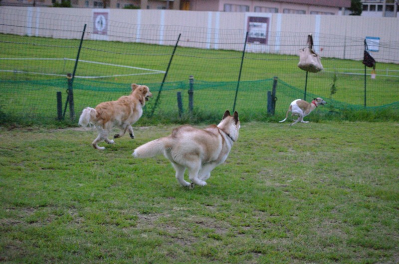 f:id:joju8:20120714185216j:image:w400