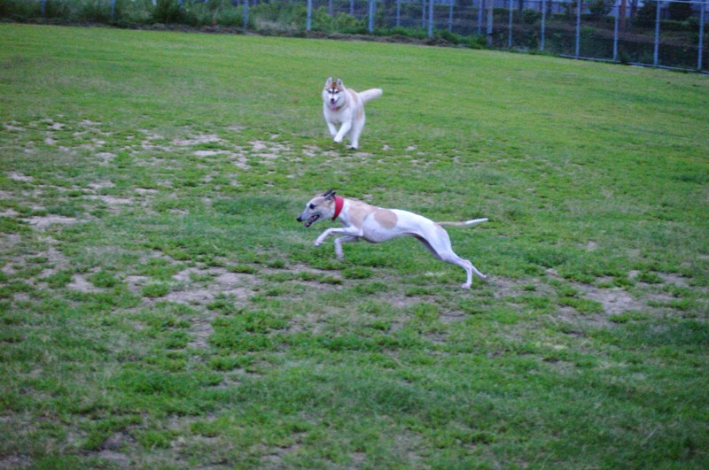 f:id:joju8:20120714185245j:image:w400