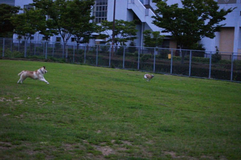 f:id:joju8:20120714185252j:image:w400