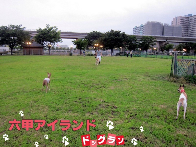 f:id:joju8:20120715142902j:image:w450