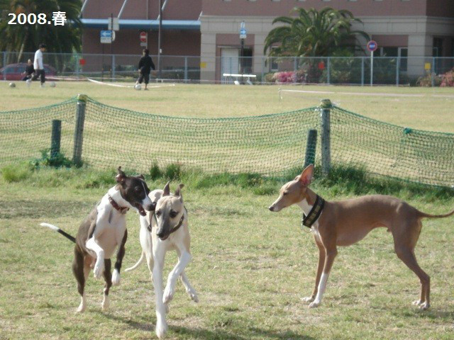 f:id:joju8:20120715183432j:image:w500