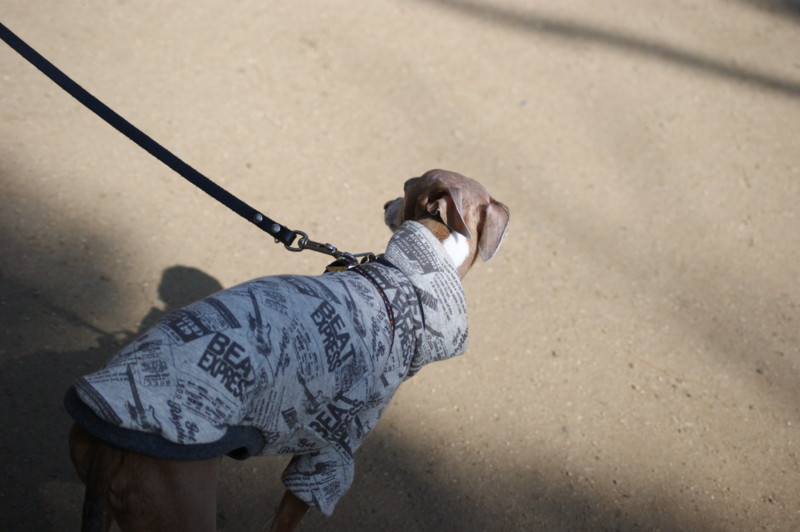 f:id:joju8:20130306102437j:plain:w500 f:id:joju8:20130306102437j:plain:w500