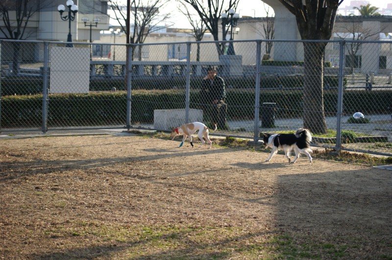 f:id:joju8:20130309161246j:plain:w500 f:id:joju8:20130309161246j:plain:w500