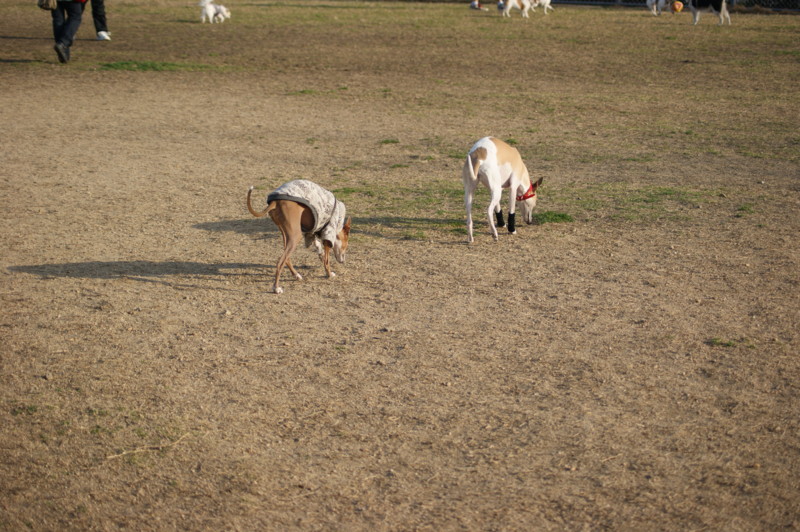 f:id:joju8:20130309162523j:plain:w500 f:id:joju8:20130309162523j:plain:w500