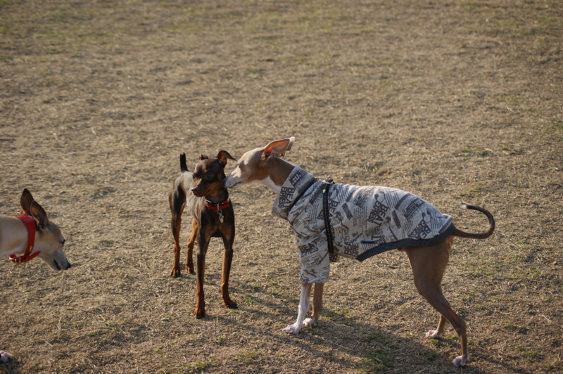 f:id:joju8:20130309162836j:plain:w500 f:id:joju8:20130309162836j:plain:w500