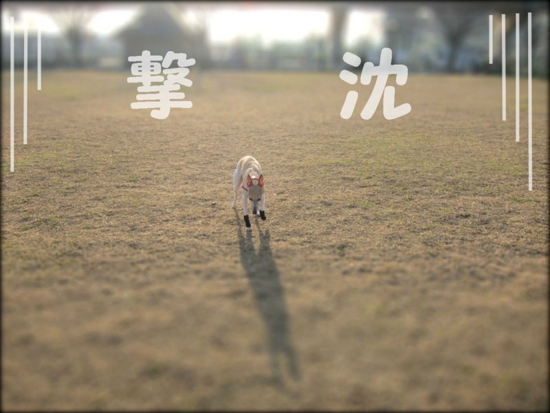 f:id:joju8:20130310001819j:plain:w500 f:id:joju8:20130310001819j:plain:w500