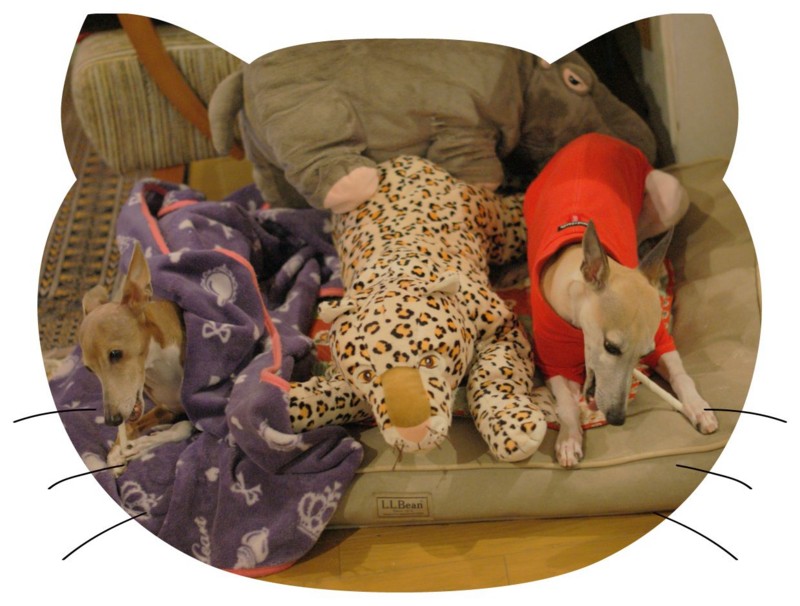 f:id:joju8:20130310021046j:plain:w500 f:id:joju8:20130310021046j:plain:w500