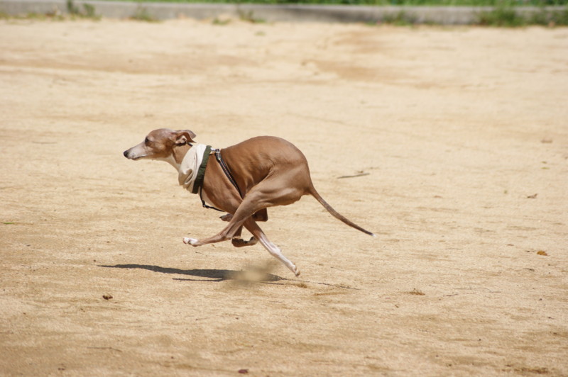 f:id:joju8:20130404123139j:plain:w500 f:id:joju8:20130404123139j:plain:w500