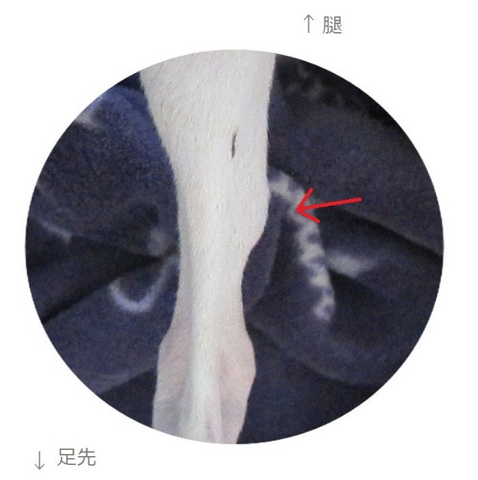 f:id:joju8:20130405013330j:plain:w250 f:id:joju8:20130405013330j:plain:w250