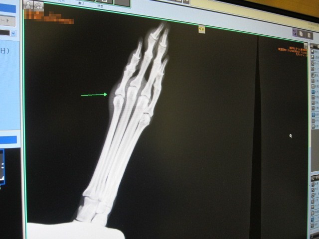 f:id:joju8:20130405020418j:plain:w250 f:id:joju8:20130405020418j:plain:w250