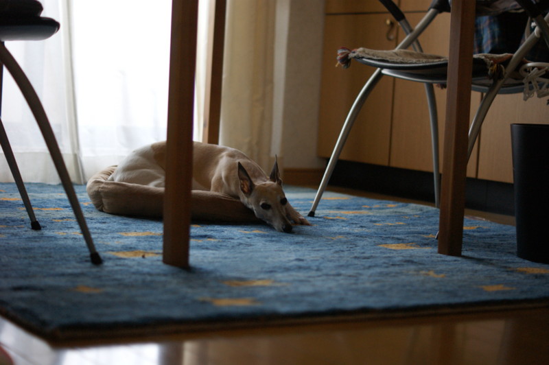 f:id:joju8:20130418150532j:plain:w500