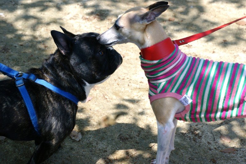 f:id:joju8:20130501101731j:plain:w500