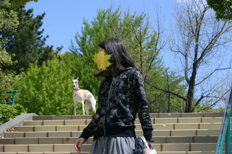 f:id:joju8:20130517122909j:plain:w500