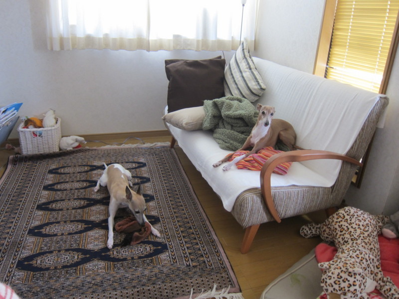 f:id:joju8:20130531112012j:plain:w500