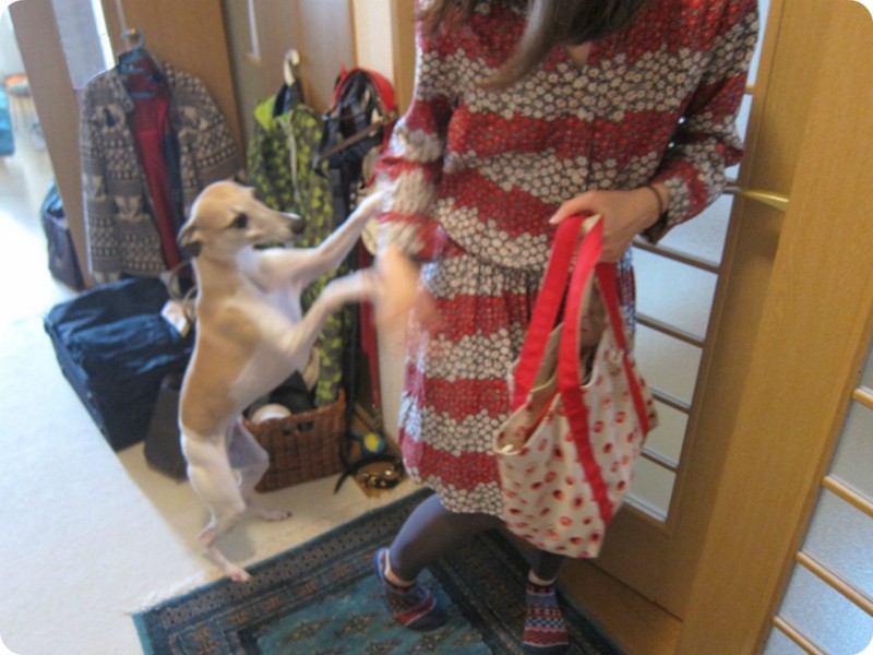 f:id:joju8:20130601085811j:plain:w400