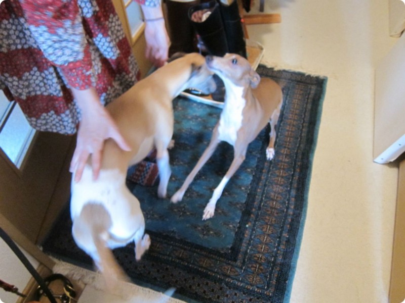 f:id:joju8:20130601090054j:plain:w400