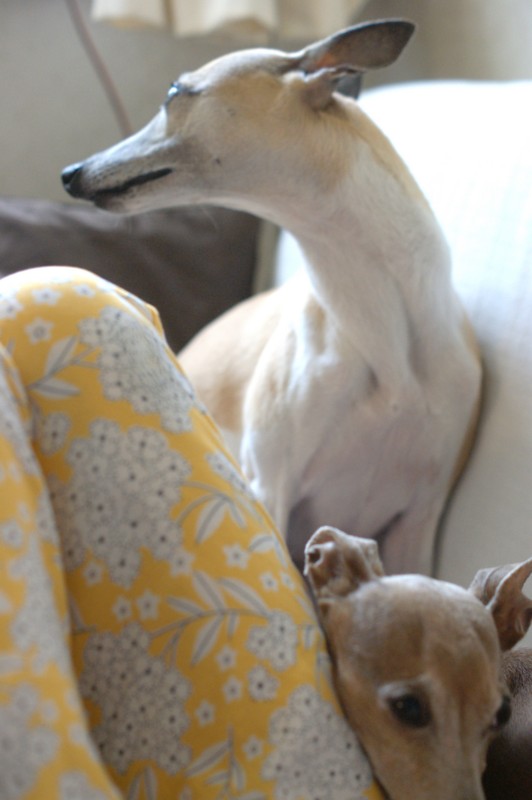 f:id:joju8:20130601102841j:plain:w350