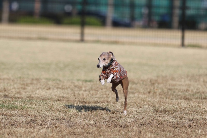 f:id:joju8:20141121113945j:plain f:id:joju8:20141121113945j:plain