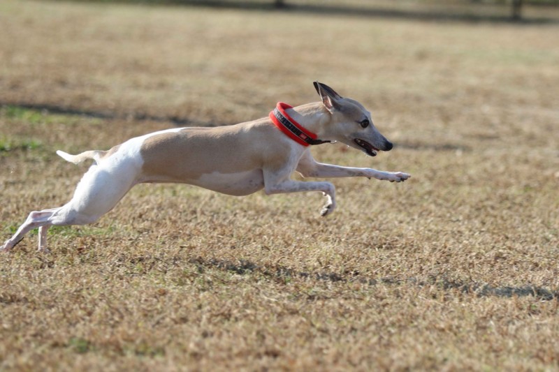 f:id:joju8:20141121120909j:plain f:id:joju8:20141121120909j:plain