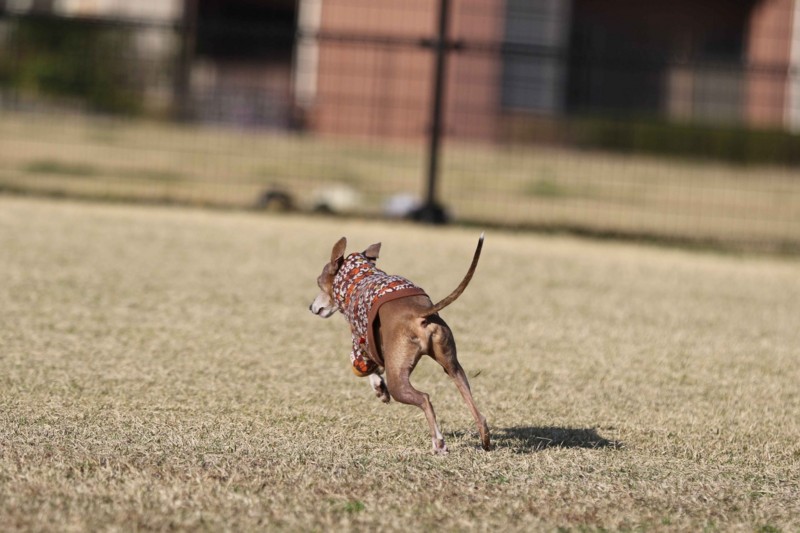 f:id:joju8:20141121121856j:plain f:id:joju8:20141121121856j:plain