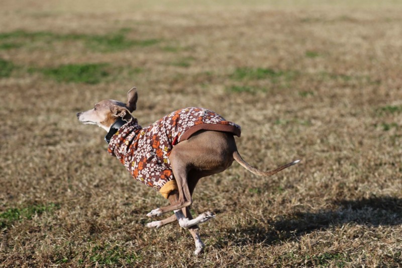 f:id:joju8:20141121122029j:plain f:id:joju8:20141121122029j:plain