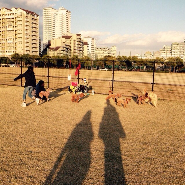 f:id:joju8:20141121124756j:plain f:id:joju8:20141121124756j:plain