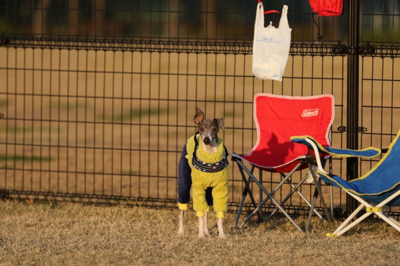 f:id:joju8:20141121124947j:plain f:id:joju8:20141121124947j:plain