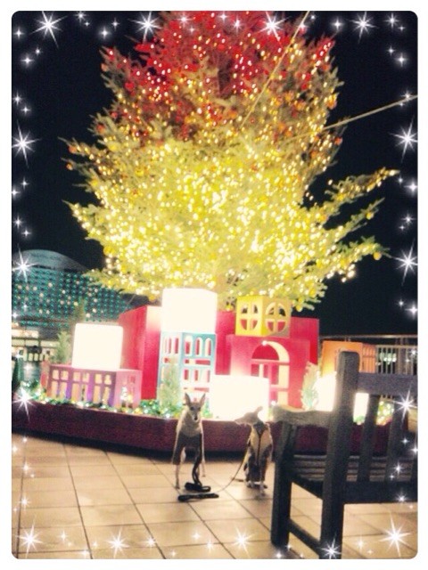 f:id:joju8:20141123105032j:plain f:id:joju8:20141123105032j:plain