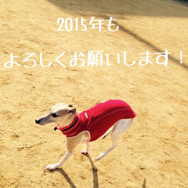 f:id:joju8:20150101123318j:plain f:id:joju8:20150101123318j:plain