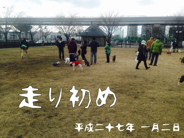 f:id:joju8:20150117121000j:plain f:id:joju8:20150117121000j:plain