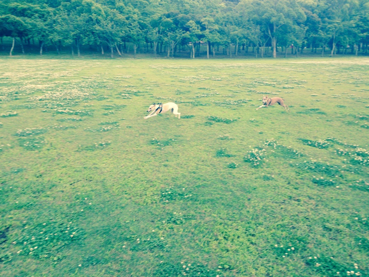 f:id:joju8:20150709142459j:image f:id:joju8:20150709142459j:image