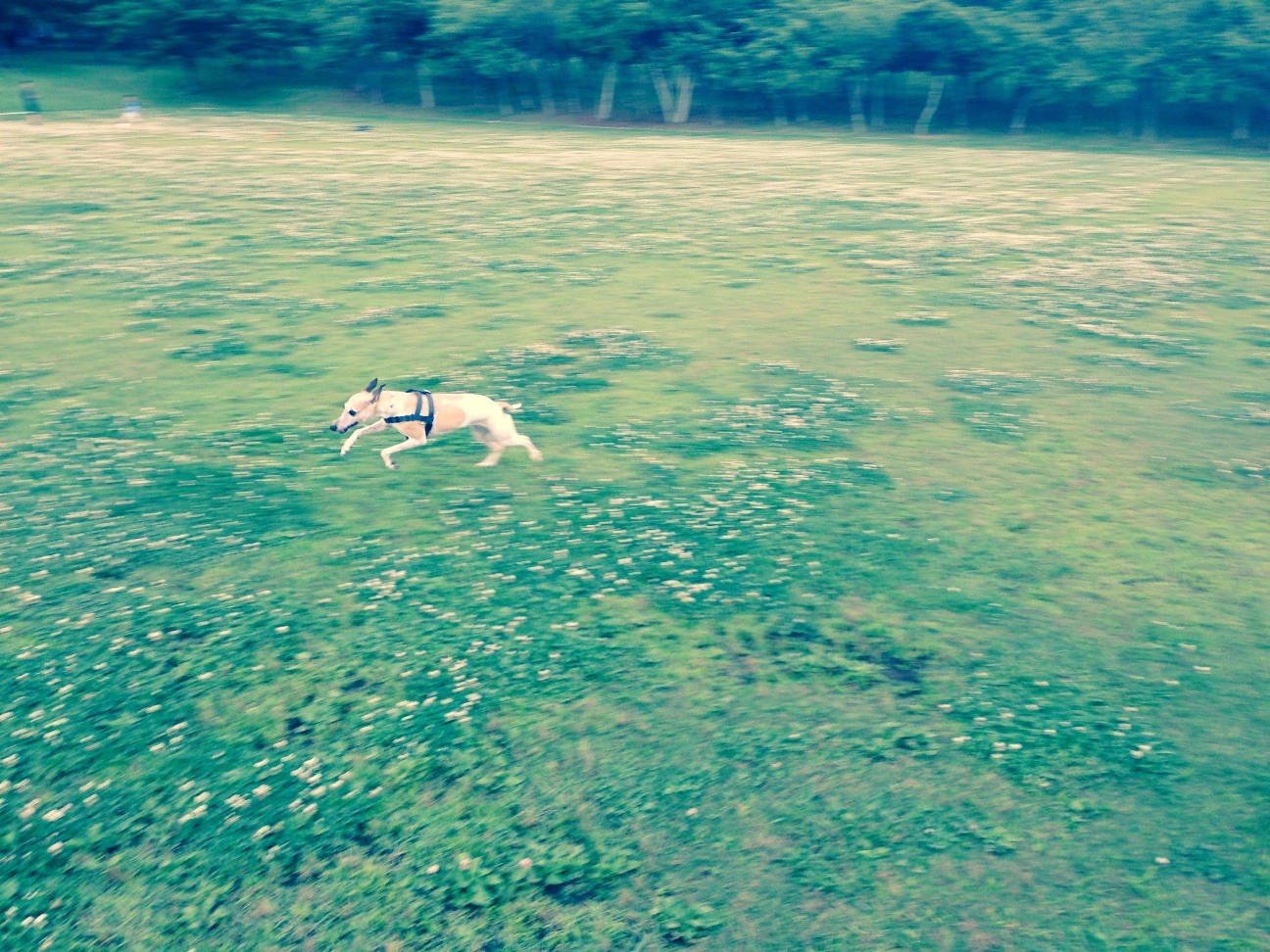f:id:joju8:20150709142545j:image f:id:joju8:20150709142545j:image