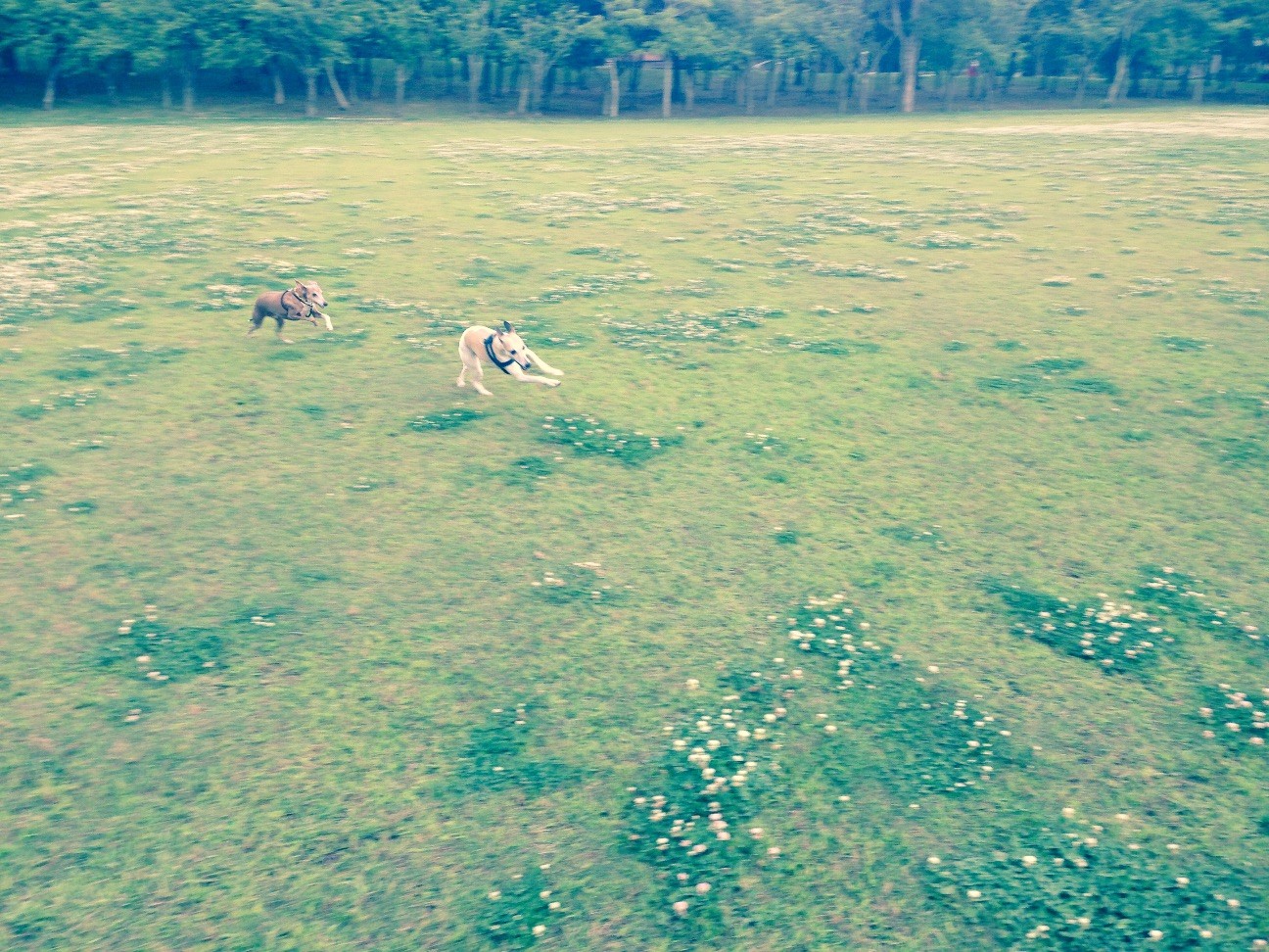 f:id:joju8:20150709142557j:image f:id:joju8:20150709142557j:image