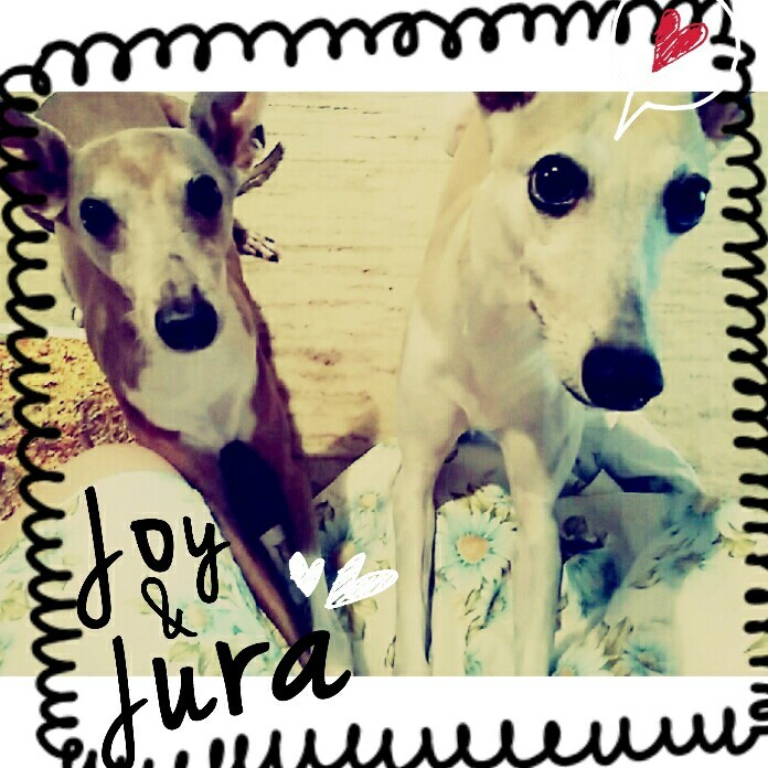 f:id:joju8:20160718075218j:image