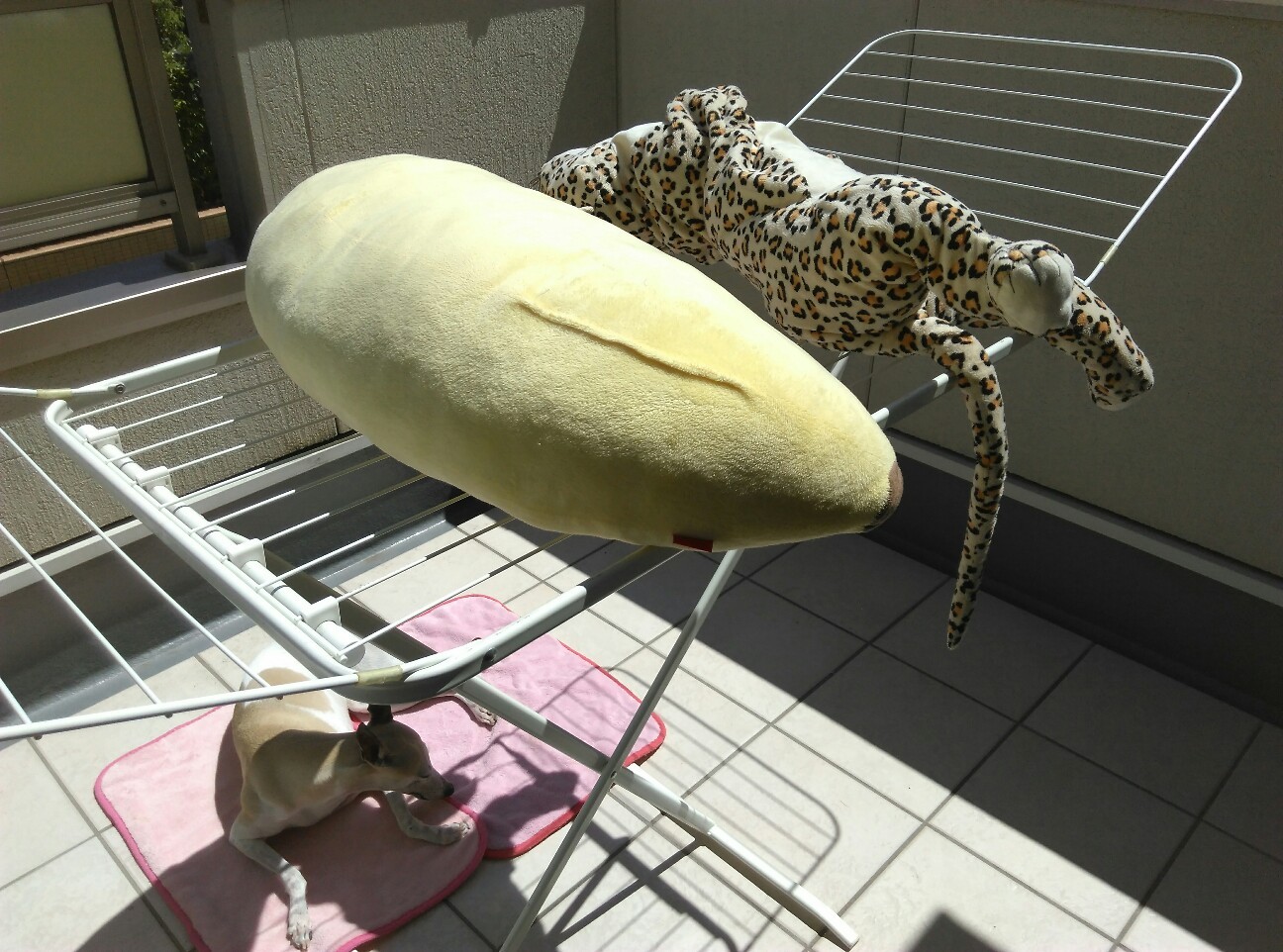 f:id:joju8:20160720220851j:image