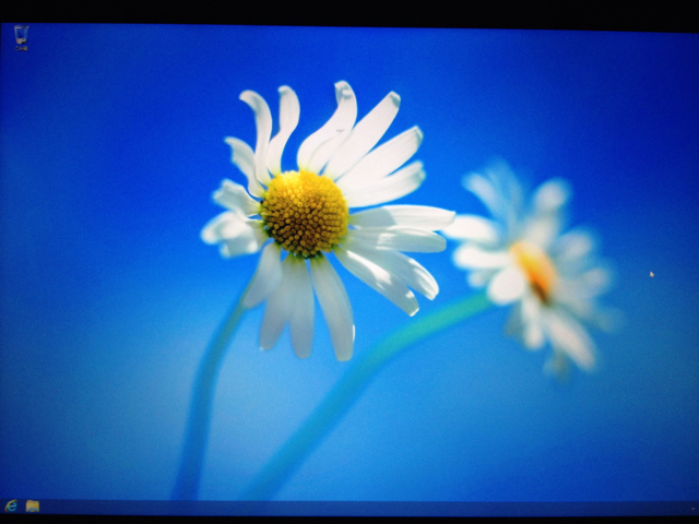 f:id:jolene:20130509001428j:plain f:id:jolene:20130509001428j:plain