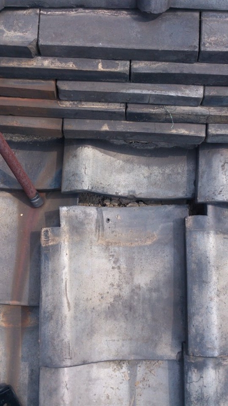 f:id:jovi1kamiya:20140526112557j:plain