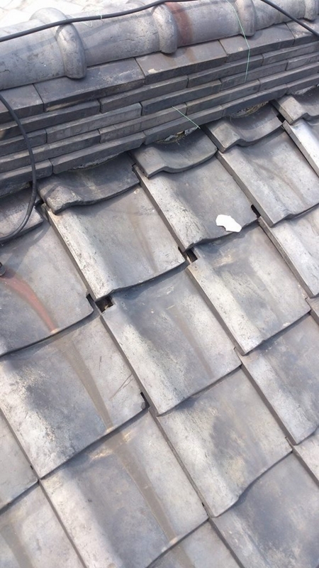 f:id:jovi1kamiya:20140526112606j:plain