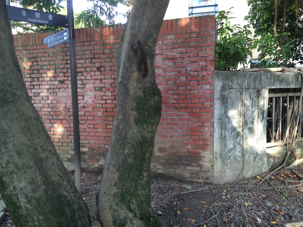 f:id:jpmpmpw:20150912011145j:image f:id:jpmpmpw:20150912011145j:image