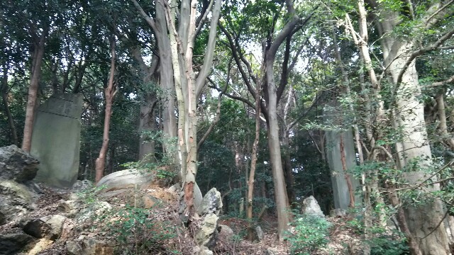 f:id:judoandrakugo:20151205220652j:image f:id:judoandrakugo:20151205220652j:image