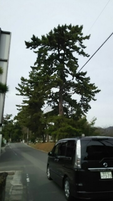 f:id:judoandrakugo:20151206165359j:image f:id:judoandrakugo:20151206165359j:image