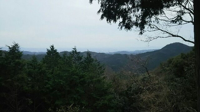 f:id:judoandrakugo:20160106183049j:image f:id:judoandrakugo:20160106183049j:image