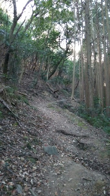 f:id:judoandrakugo:20160112202309j:image f:id:judoandrakugo:20160112202309j:image
