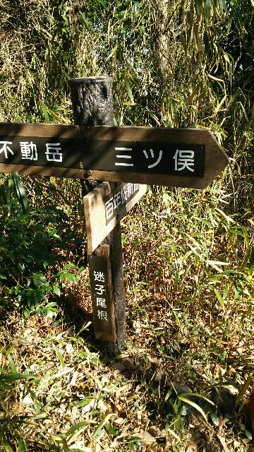 f:id:judoandrakugo:20160208212913j:image f:id:judoandrakugo:20160208212913j:image