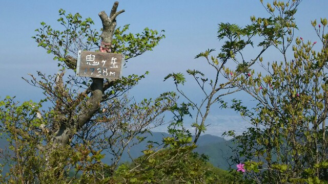 f:id:judoandrakugo:20160524200202j:image f:id:judoandrakugo:20160524200202j:image