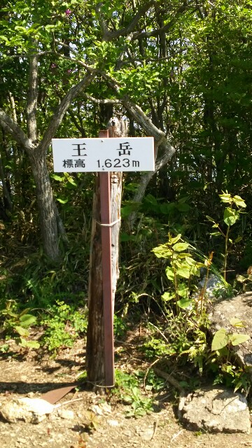 f:id:judoandrakugo:20160524200217j:image f:id:judoandrakugo:20160524200217j:image