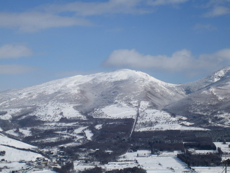 f:id:jukuchou:20070110111318j:image f:id:jukuchou:20070110111318j:image
