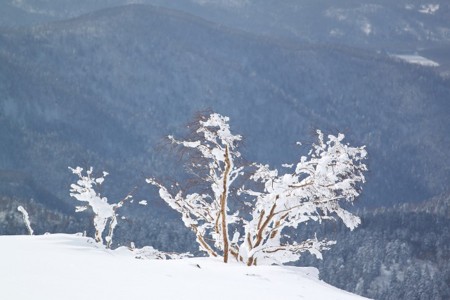 f:id:jukuchou:20100219222949j:image f:id:jukuchou:20100219222949j:image